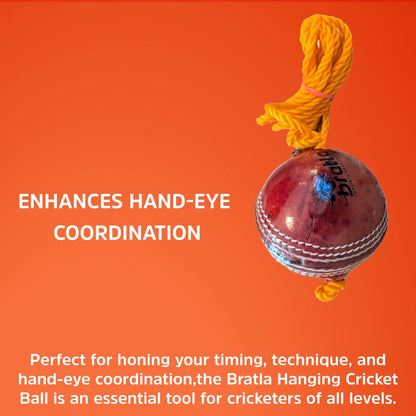 Bratla Hanging Cricket Ball with Cord String Leather Seasoned Cricket Ball For Batting Practice - BALL - TRAINING SENIOR